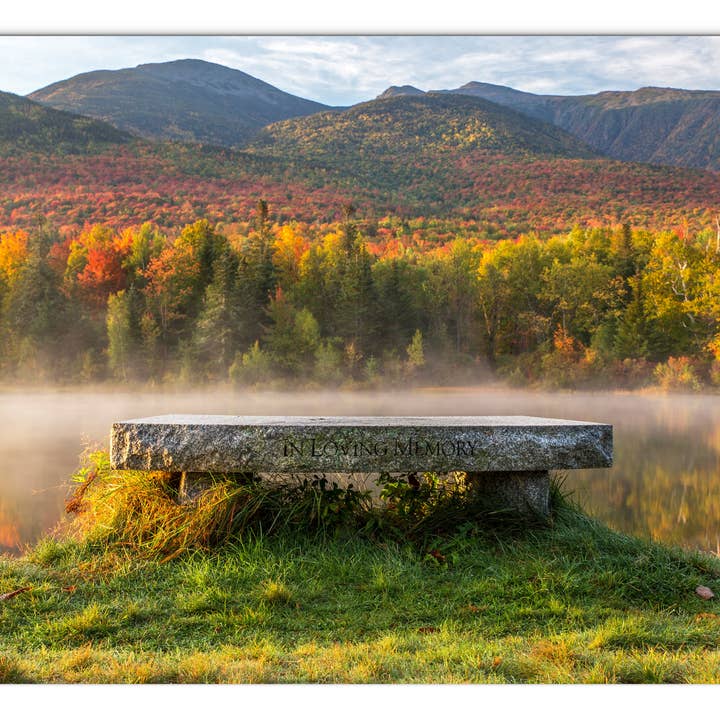 Misty Foliage Memories Glass Panel by Chris Whiton for wholesale by American Brand Studio
