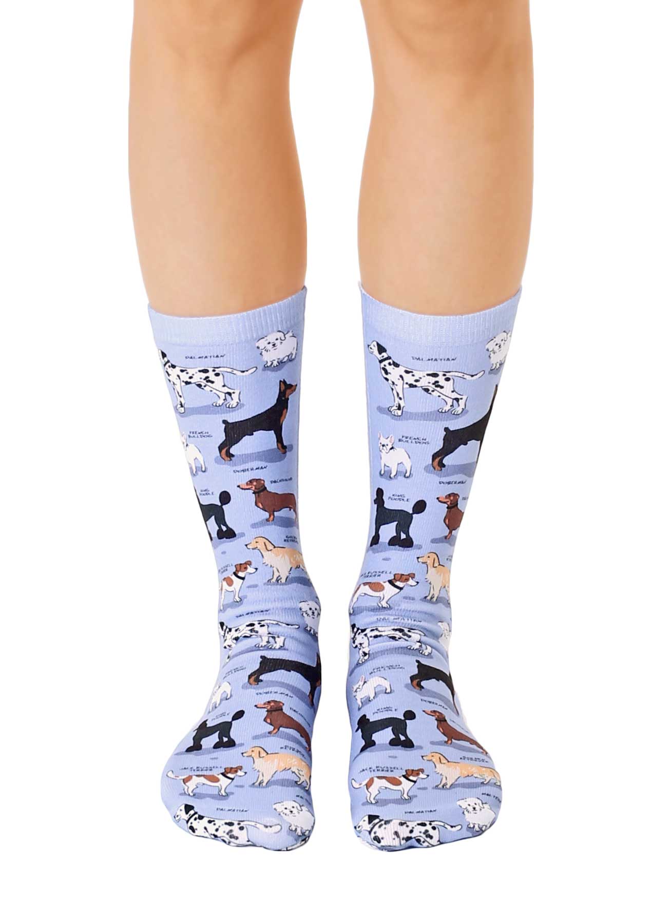 Wholesale Dog Breeds Crew Socks for your store - Faire