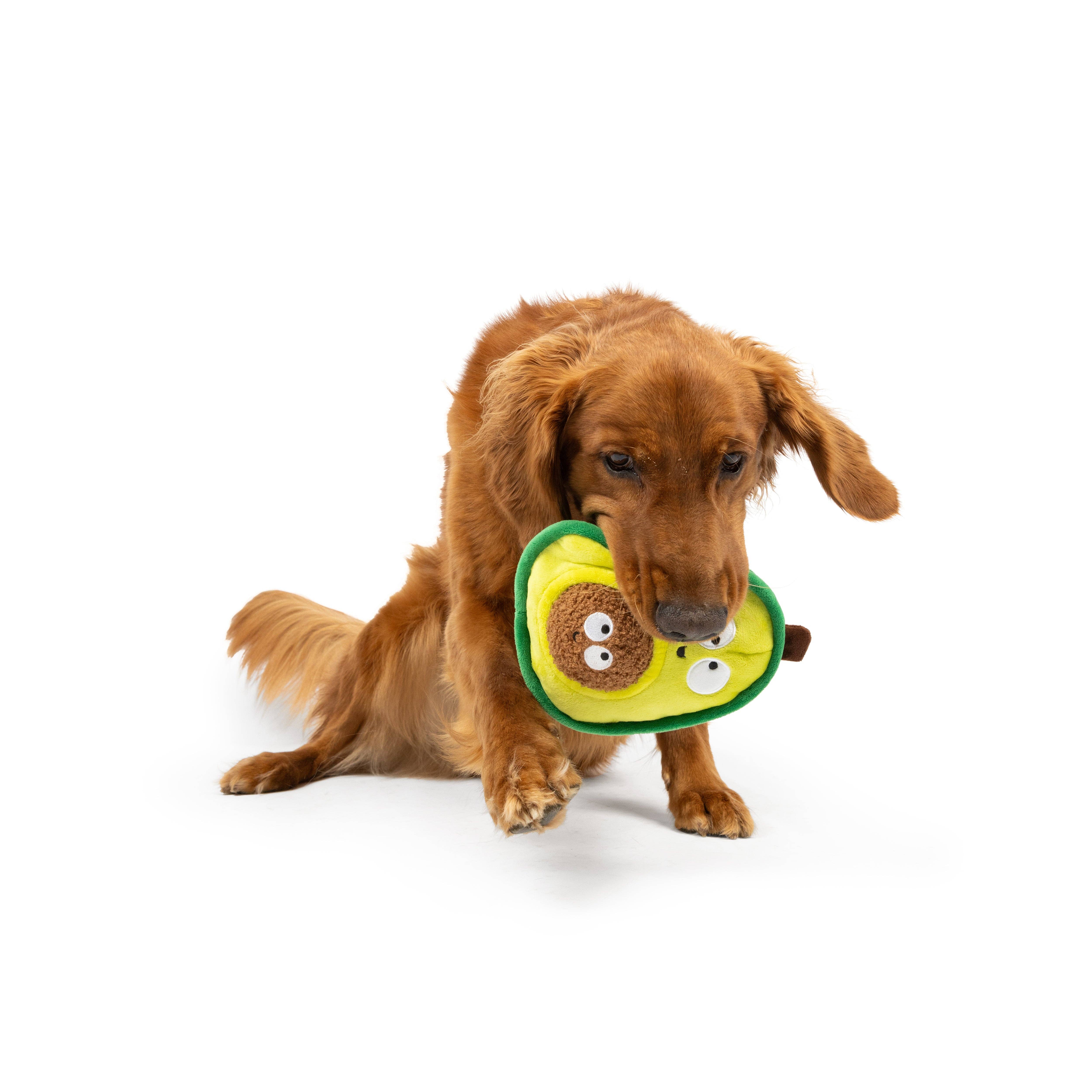 Huxley & Kent – wholesale Pet plush toy – Dog – Pop 'n Fetch Avocado Dog Toy6