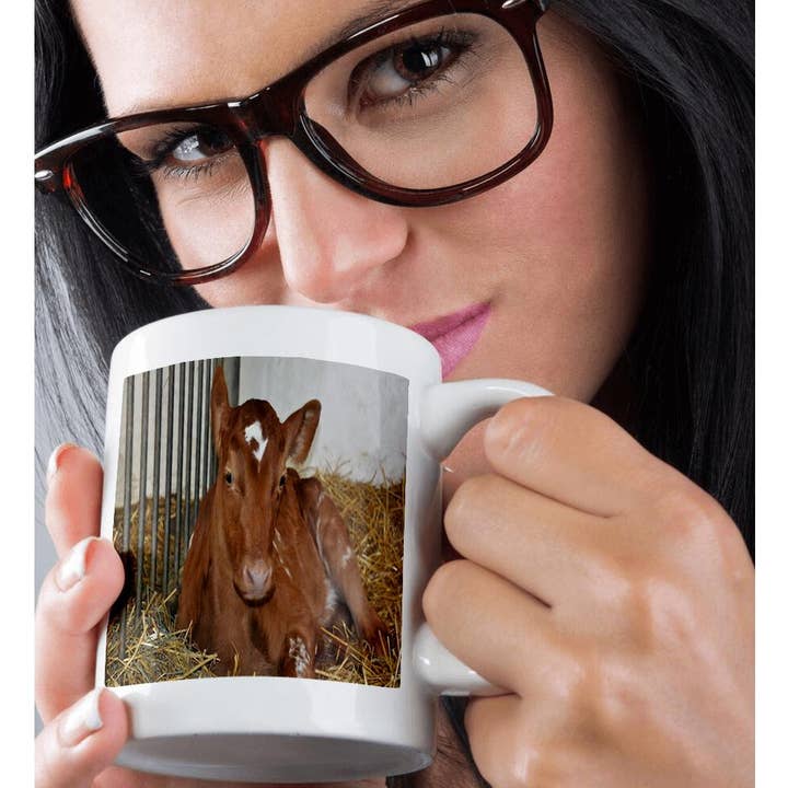 3dRose - Wholesale Coffee Mug - 3dRose, Ayrshire Calf laying down , Mug9