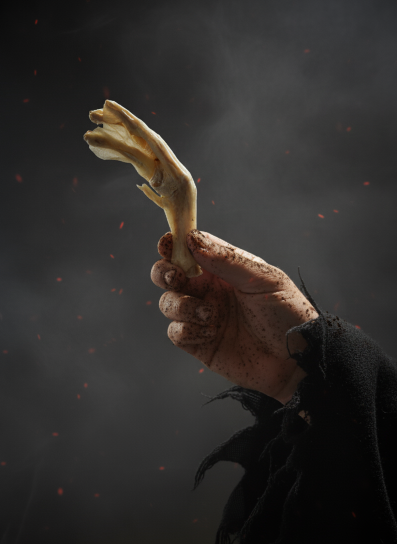 CorpseCo. - Wholesale Pet Treats - Dog - Corpse Crunchies: Duck Feet1