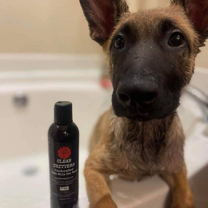 Steele Family Farm - Wholesale Pet Cleaning Supplies - Clean Critters Pet Wash