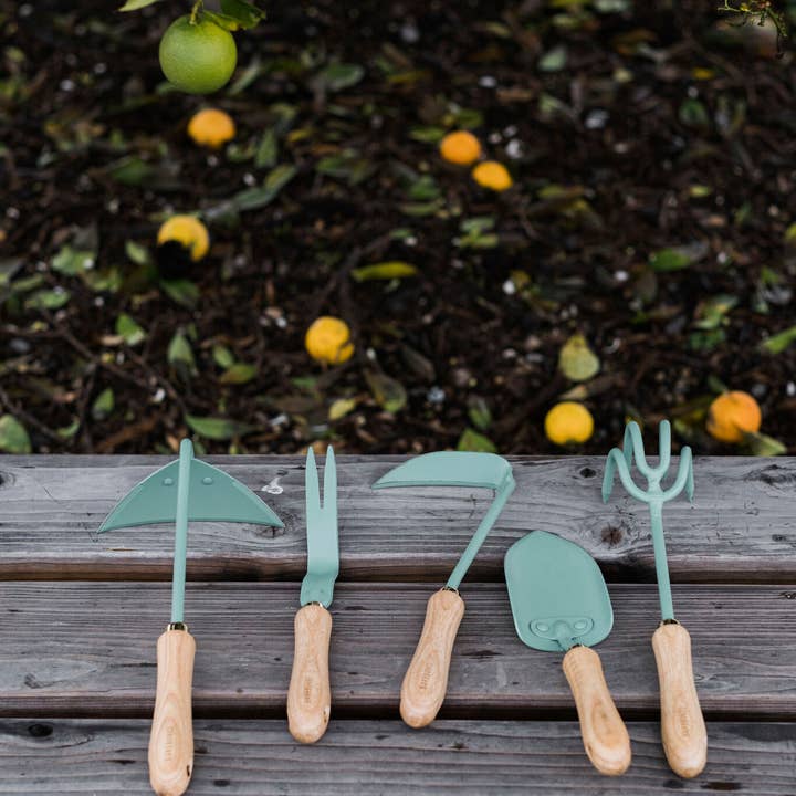 Barebones - Wholesale Garden Tool - Dandelion Weeding Fork