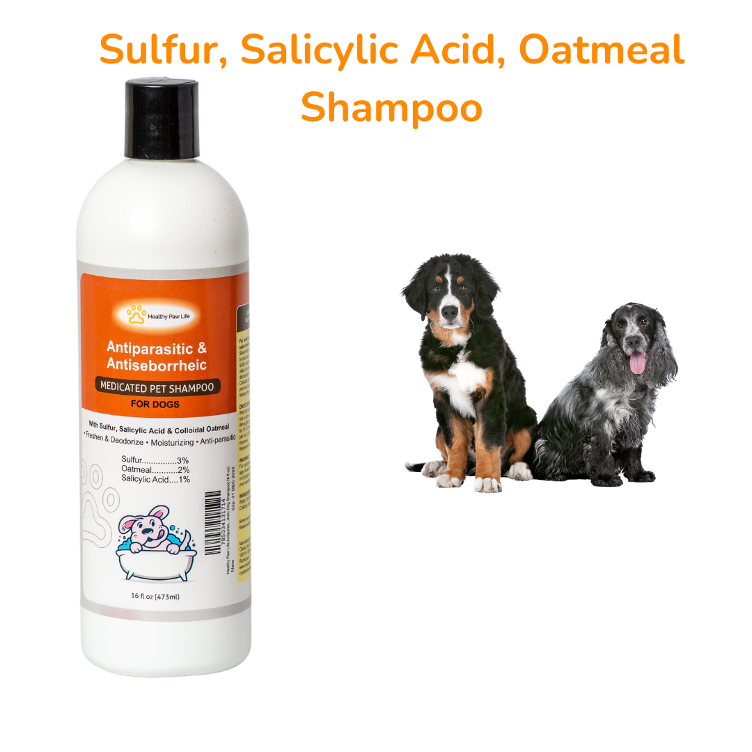 Healthy Paw Life - Vente Shampoing – chien - Healthy Paw Life combo soin peau et pelage - Bain au souffre 473 ml + shampooing antiparasitaire et antiséborrhéique 473 ml6