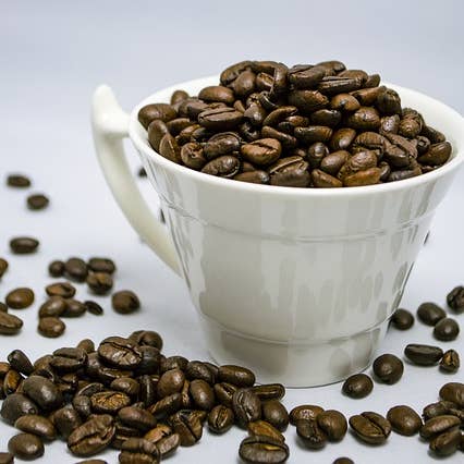 Peacemaker Coffee Company - Wholesale Coffee Beans - 2.5 oz. Our Coffee/ Your Brand (Private Label) Sample Packs