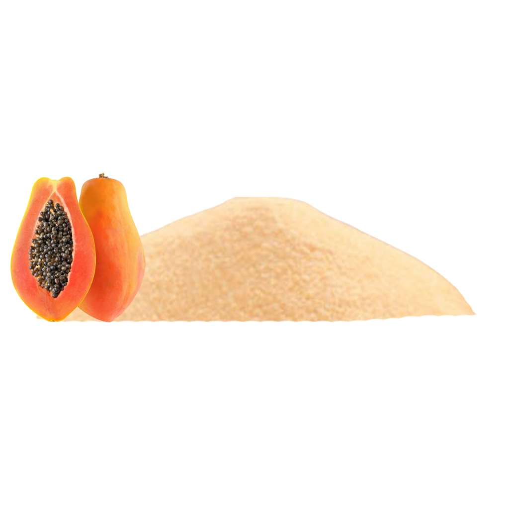 Indus Farms Superfoods – Großhandel Protein-/Superfood-Pulver – 100% reines gefriergetrocknetes Papaya-Fruchtpulver, GVO-frei, vegan1