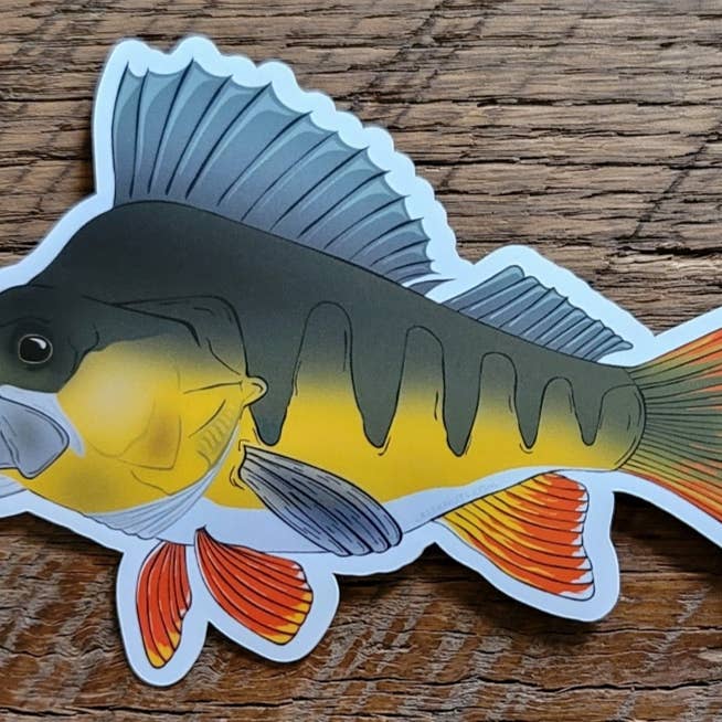 Perch Sticker for wholesale by creeknuts.com