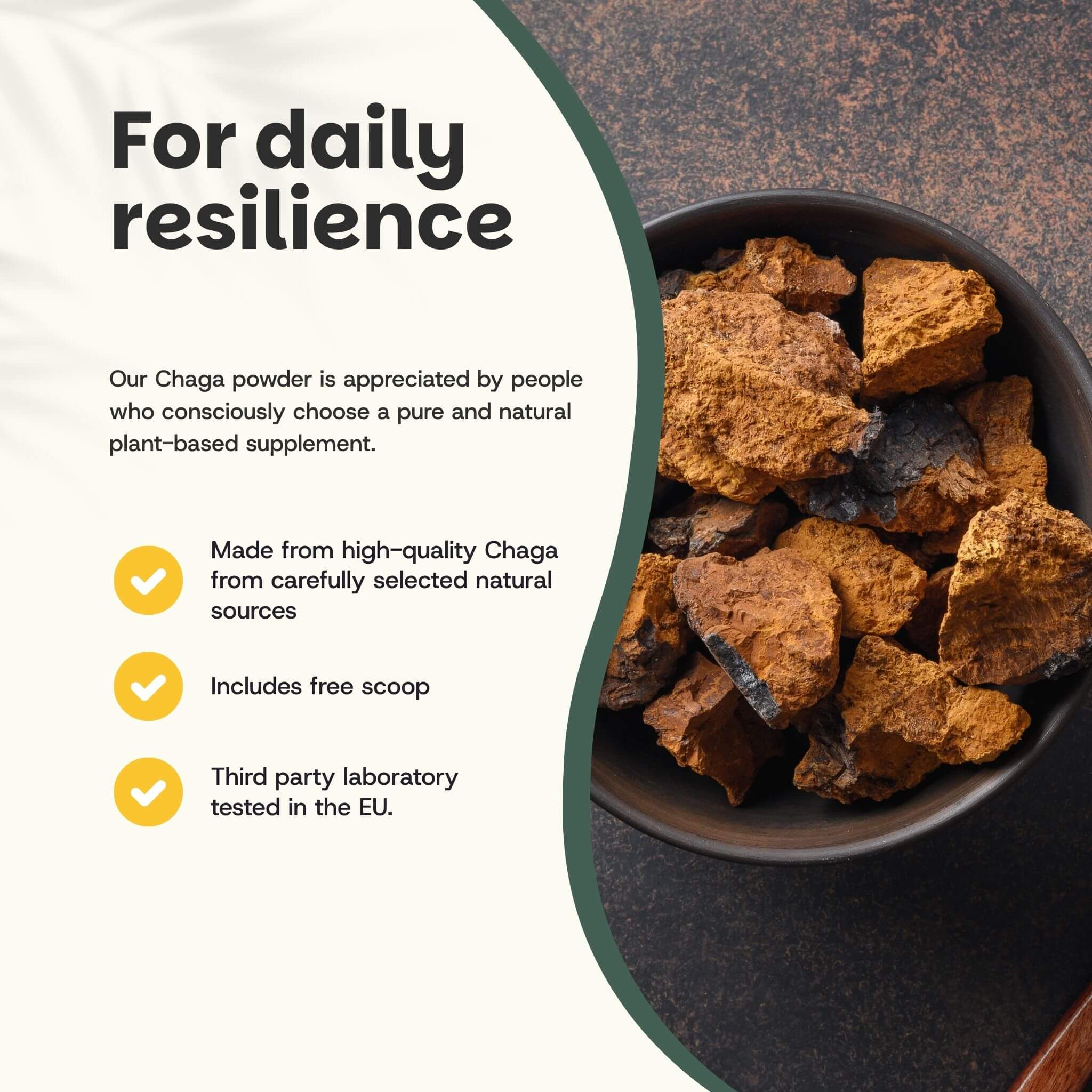Cupplement b.v. – Großhandel Protein-/Superfood-Pulver – Chaga-Pulver Bio 60 Gramm1