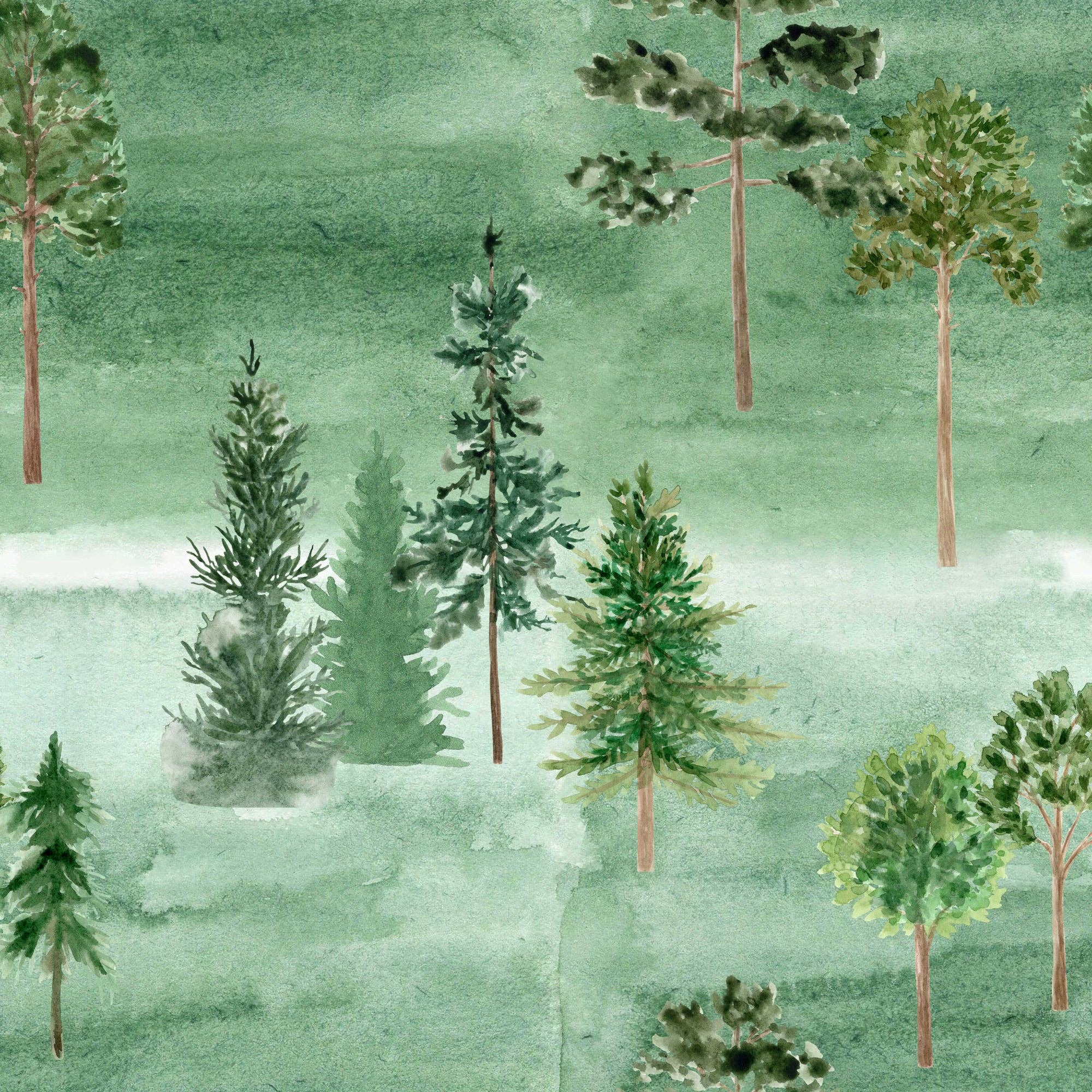 SSC Wholesale - Wholesale Scrapbook - Alaskan Adventure Collection Last Frontier 12 x 12 Double-Sided Scrapbook Paper - 15 Pack2