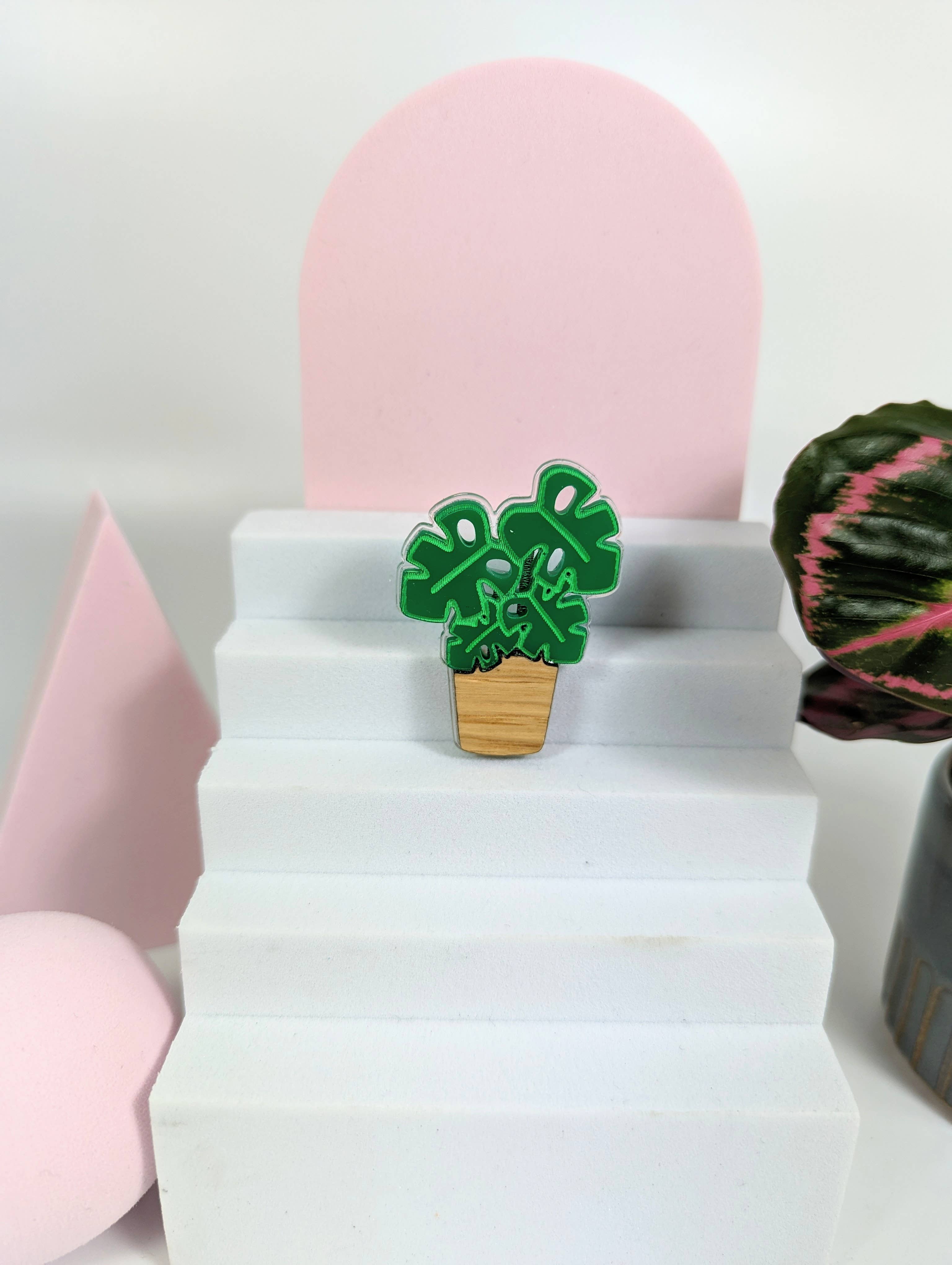 Chikai Shop - Vendita all'ingrosso Spille - Spilla Monstera su acrilico e legno di quercia2