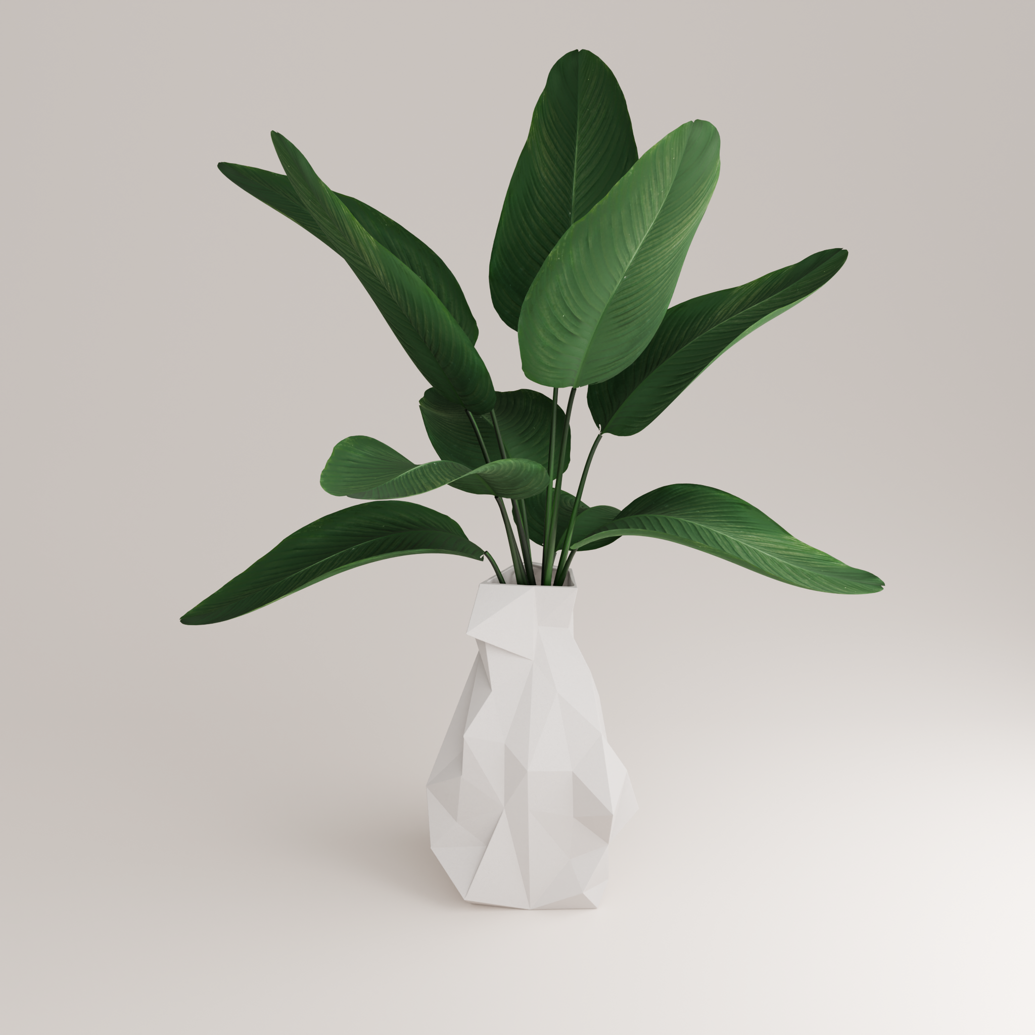 Holaria - Wholesale Vase - Simplexxa 4 Porcelain Vase (h37 cm) - Holaria10