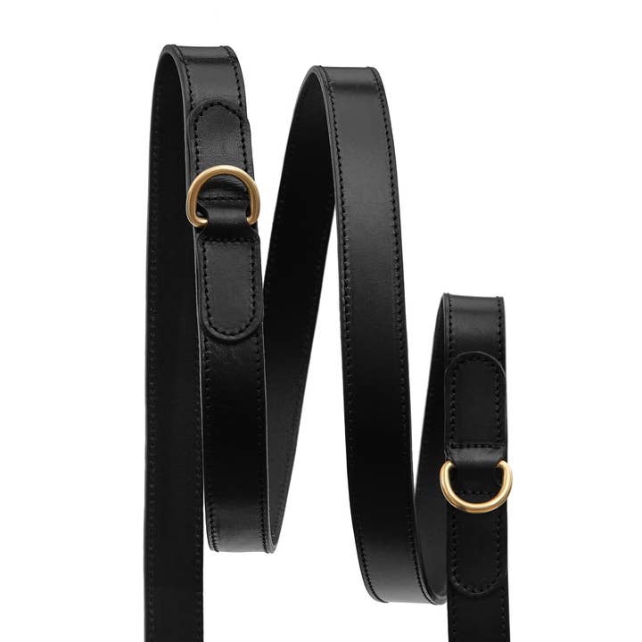 ARISTOPET - Wholesale Pet Leash - Dog - ANSELMO 2M BELT2