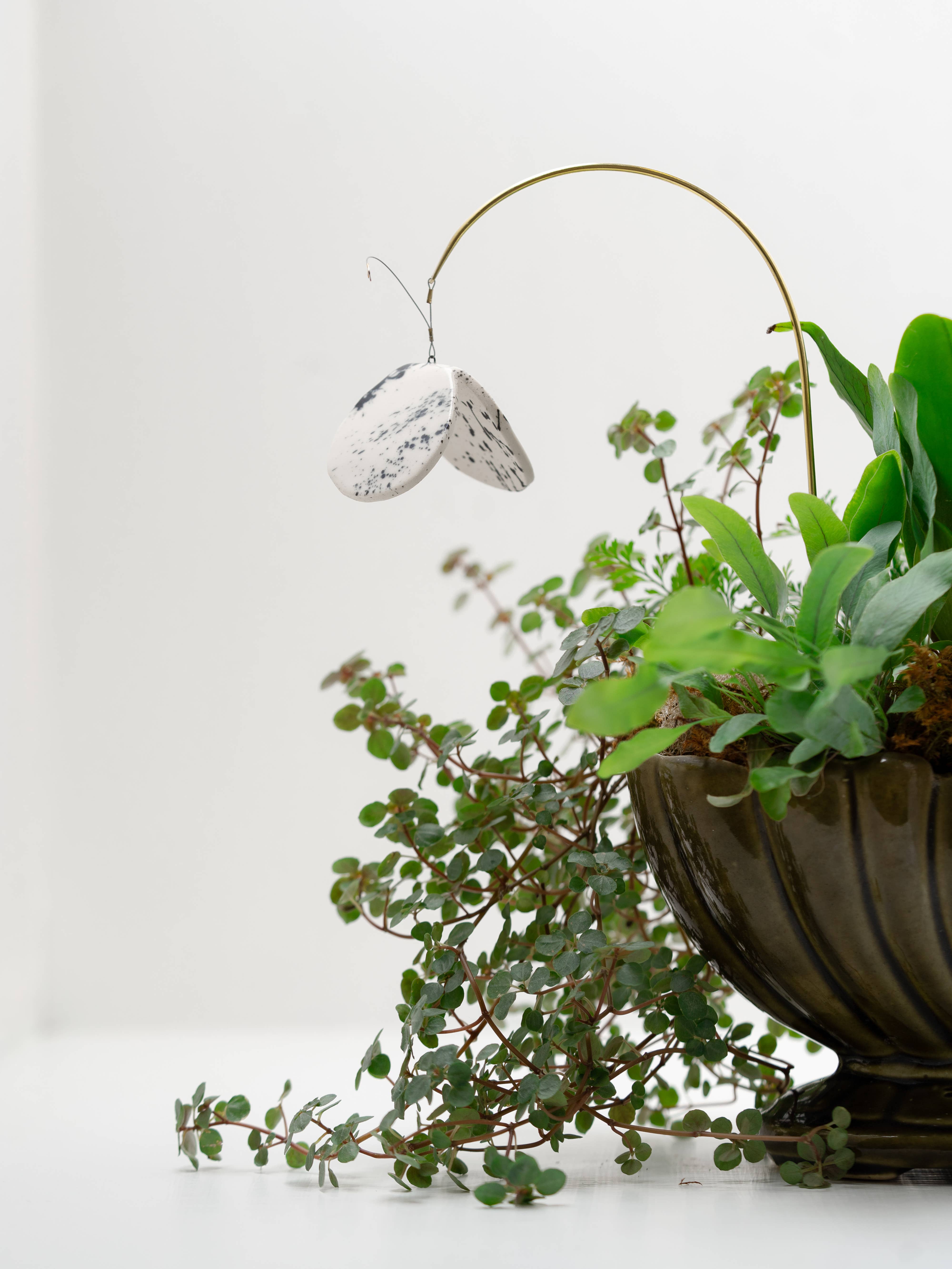 Twenty Two West - Wholesale Decorative Figurine - Plant Butterfly FW25 5