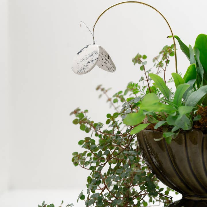 Twenty Two West - Wholesale Decorative Figurine - Plant Butterfly FW25 5