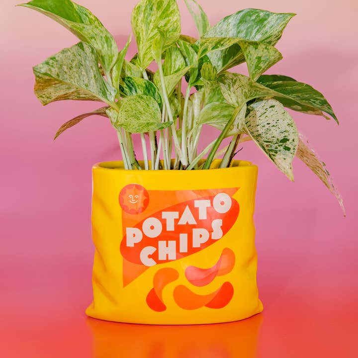 Ban.do - Wholesale Vase - Ceramic Vase, Potato Chips1