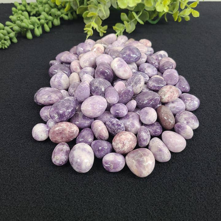 Meraki Gemstones - Wholesale Spiritual Stone/Crystal - Lepidolite Tumbled Stones (0.5kg/1.1lbs) 20-25mm0