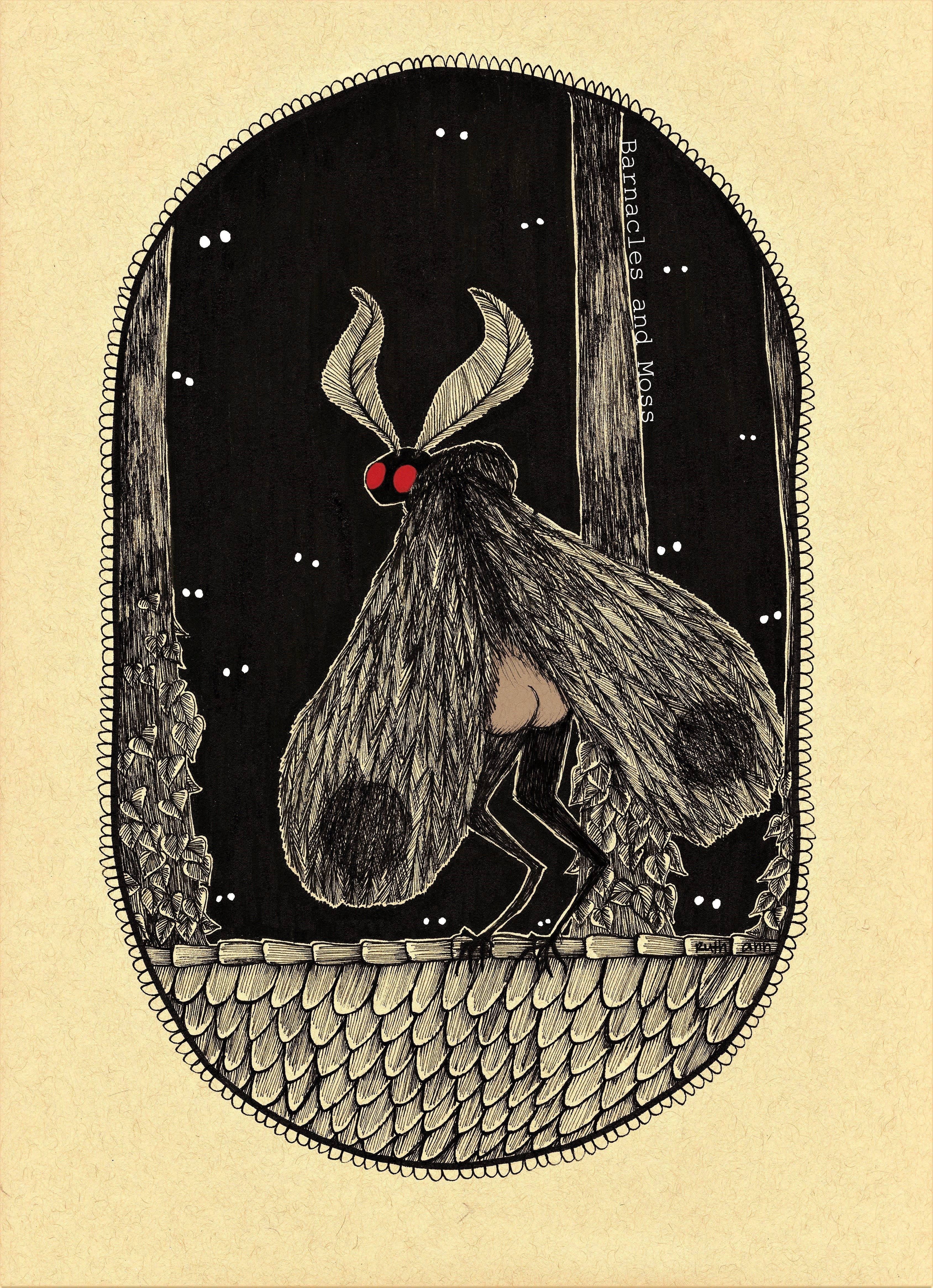 Barnacles and Moss - Wholesale Art Print - Mothman Booty Fine Art Print1