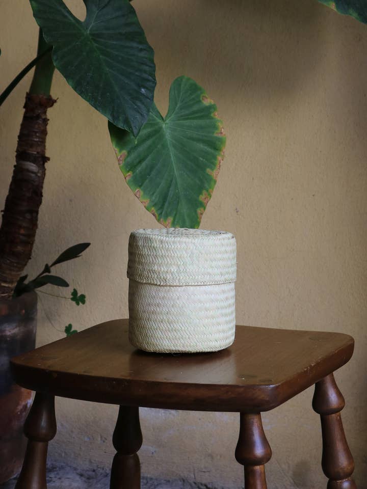 Mexican palm basket for wholesale by P.I.Project America