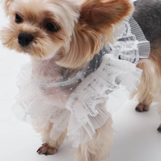 Enchanted Lace Tulle Top for wholesale by SunnyPawShop