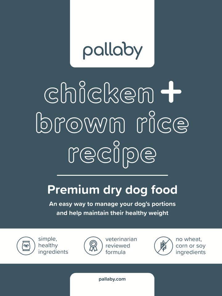 Dry Dog Food Kibble – All-Natural Chicken and Brown Rice for wholesale by pallaby