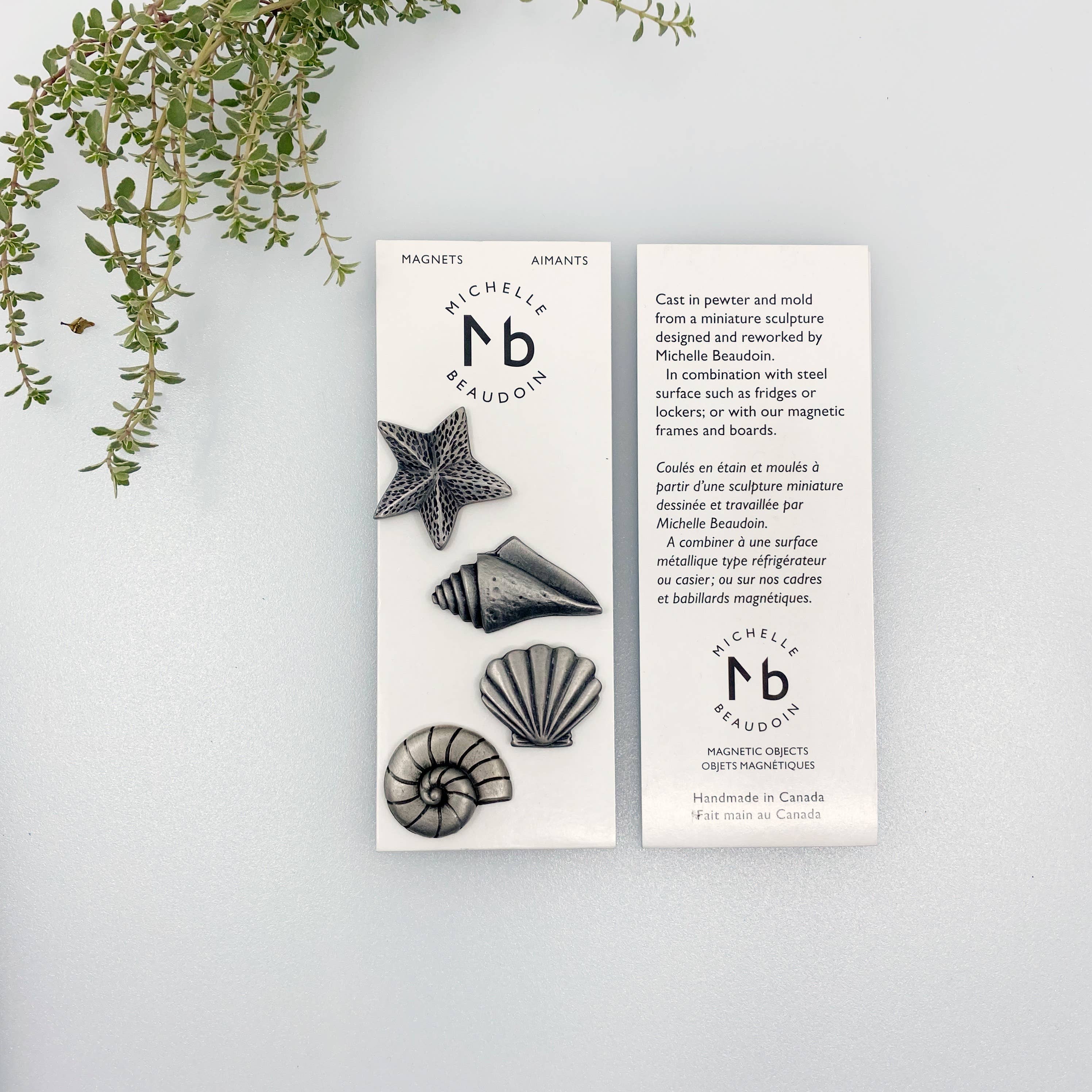 MICHELLE BEAUDOIN - Wholesale Magnet - Sea Shells