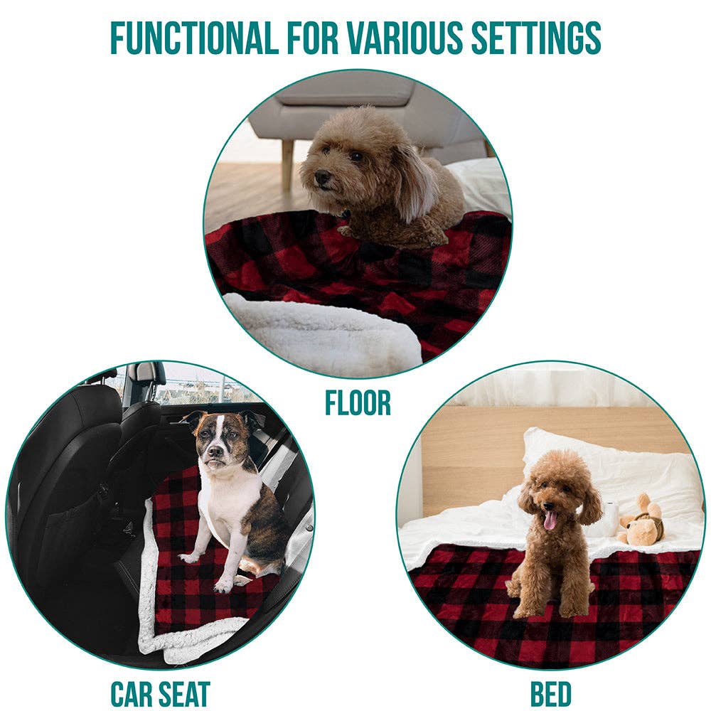 PetAmi - Vente Couverture – chat et chien - Couverture pour animaux en polaire réversible80