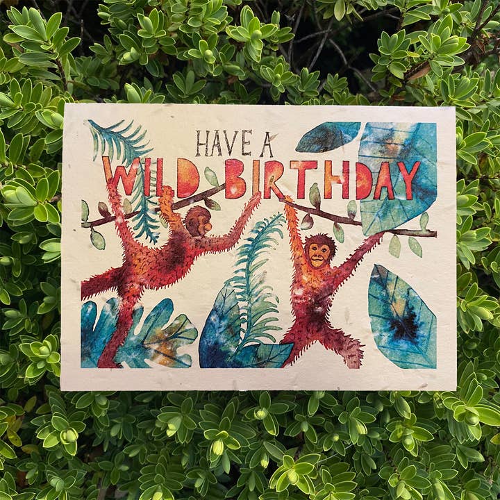 Wild Birthday Plantable Card for wholesale by Loop Loop