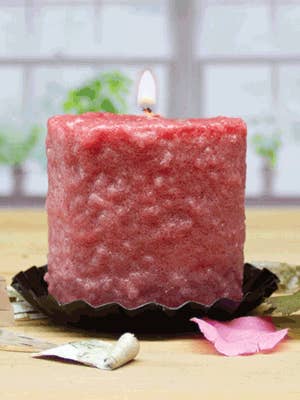 Petals & Birch Mini Hearth for wholesale by Warm Glow Candle Company