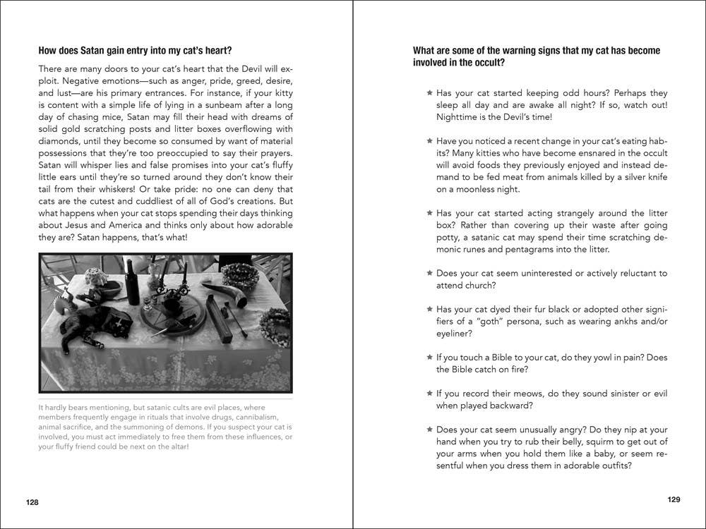 Microcosm Publishing & Distribution – Großhandel Humor – Sprechen Sie mit Ihrer Katze über Waffensicherheit: Und Abstinenz7