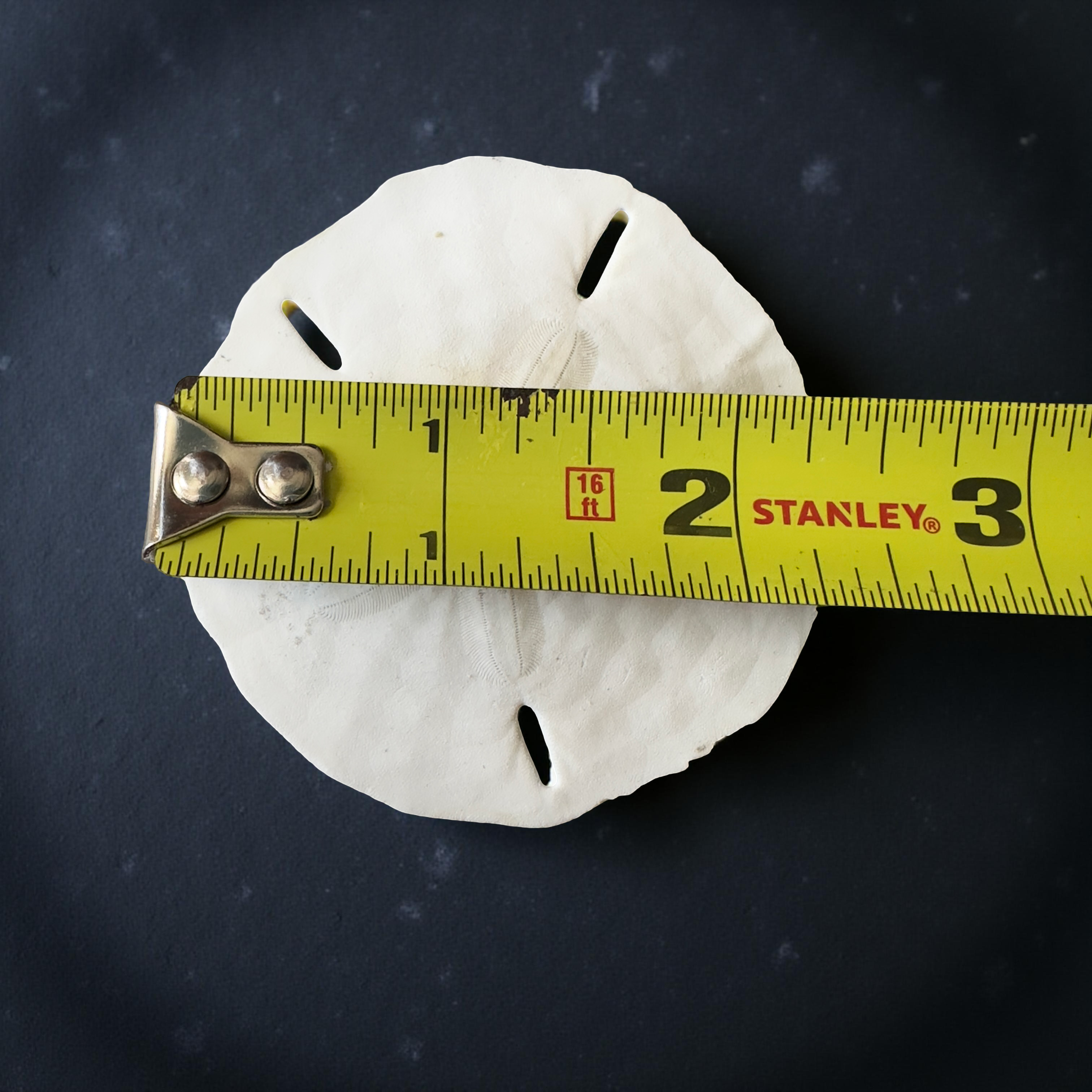 Shell Yeah By Jaks LLC - Wholesale Ornament - Gilded Sand Dollar Ornament – Coastal Décor5