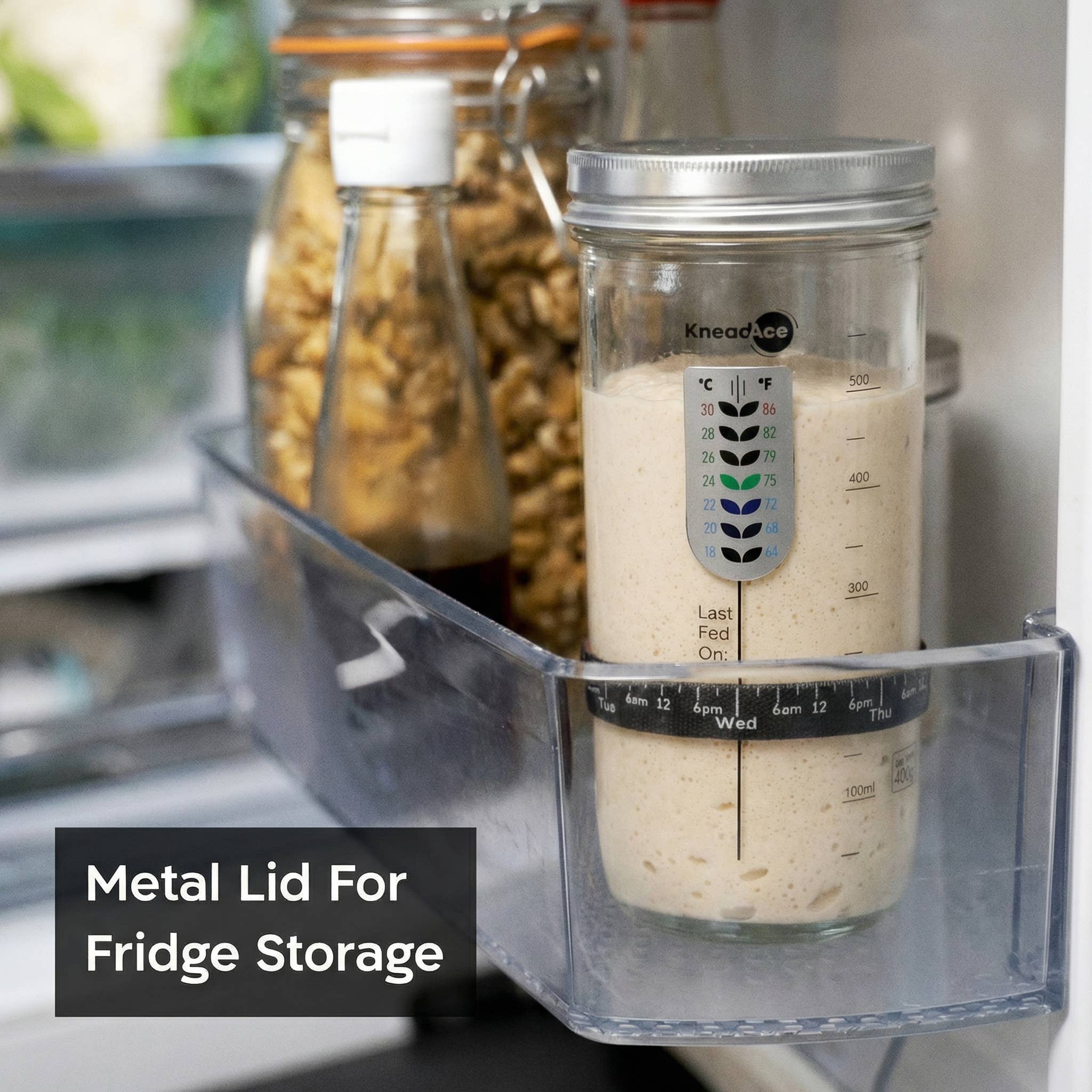 KneadAce – wholesale Kitchen tool/gadget – KneadAce® 24oz Sourdough Starter Jar6