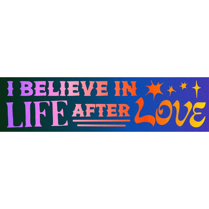 Alex Luciano - Wholesale Sticker - I Believe in Life After Love Cher Bumper Sticker