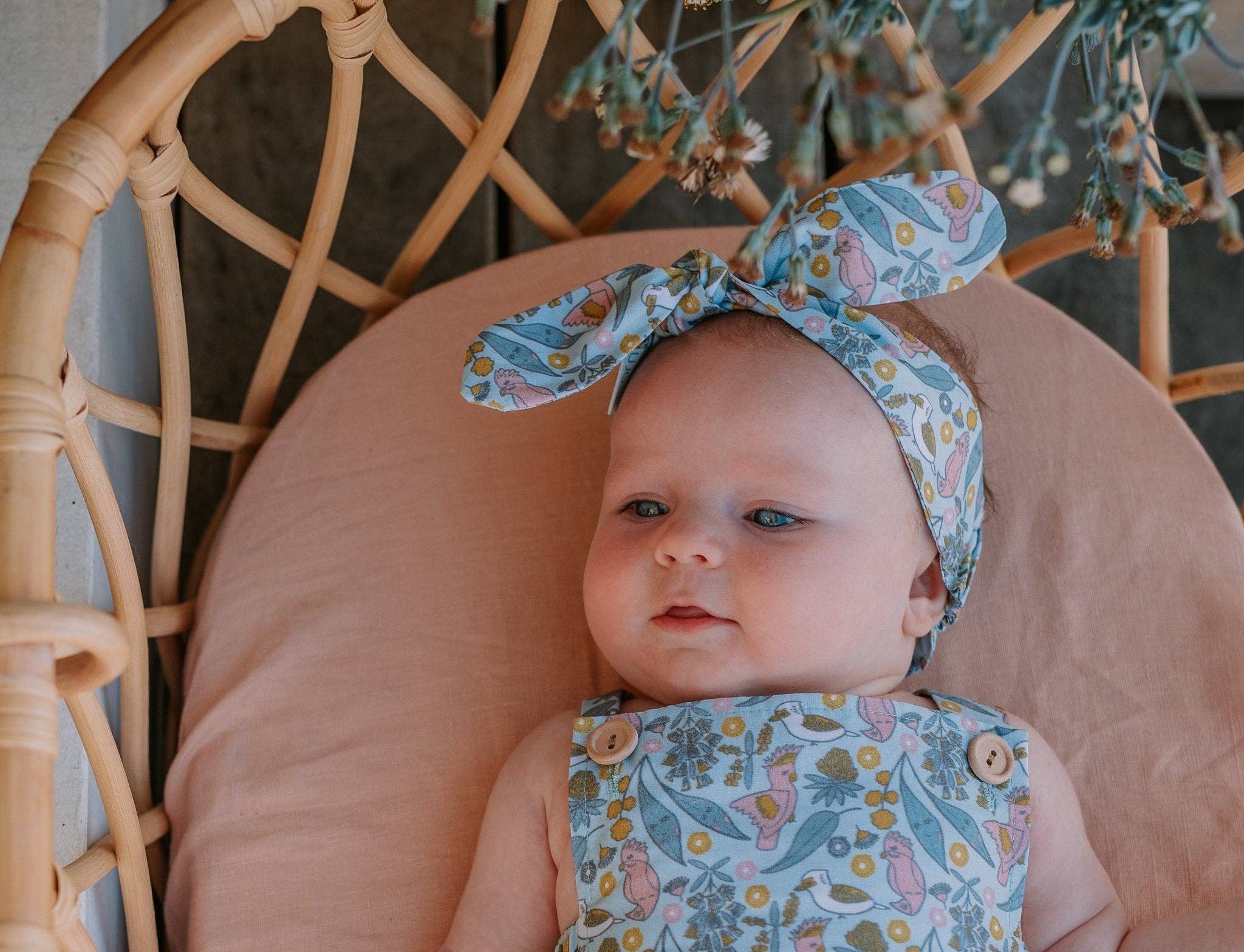 Acorn Kids - Wholesale Bodysuit (non-footed) – Baby - Australian Dawn Romper3