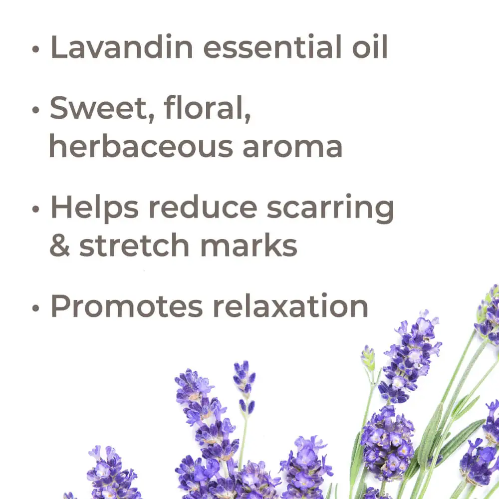 Plant Therapy - Wholesale Essential Oil - Lavandin Essential Oil 10 mL6
