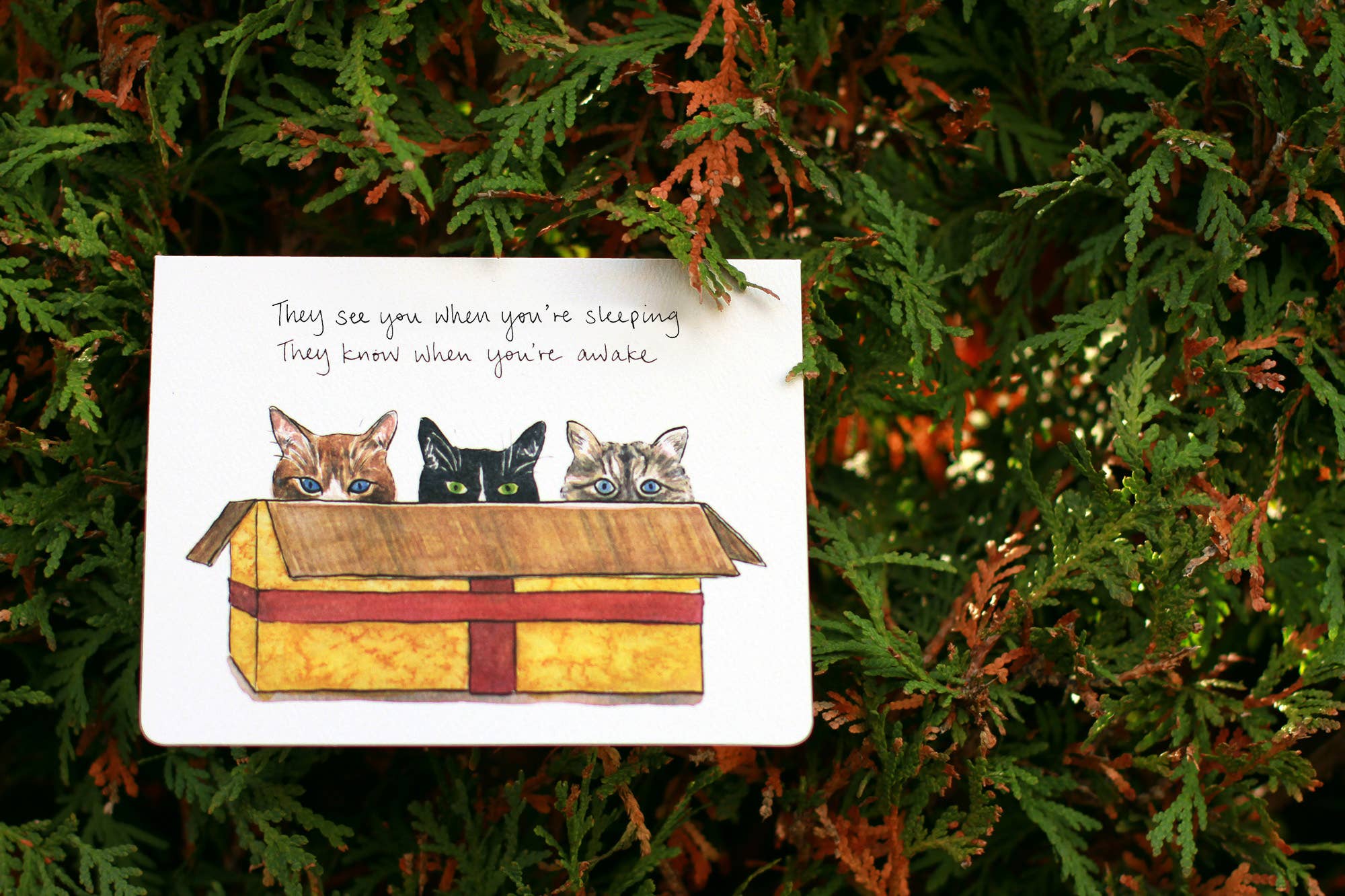 Gotamago - Wholesale Season's Greetings Card - Cats in a Box - Holiday Card2