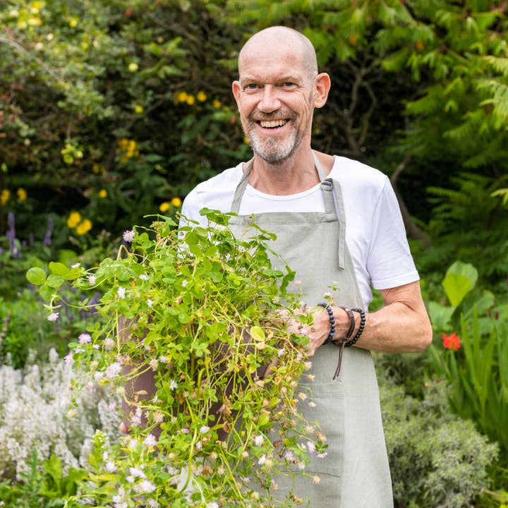 Blossombs - Wholesale Plant Seeds - Blossombs Display with 18 Egg Cartons – Sustainable Gifts5