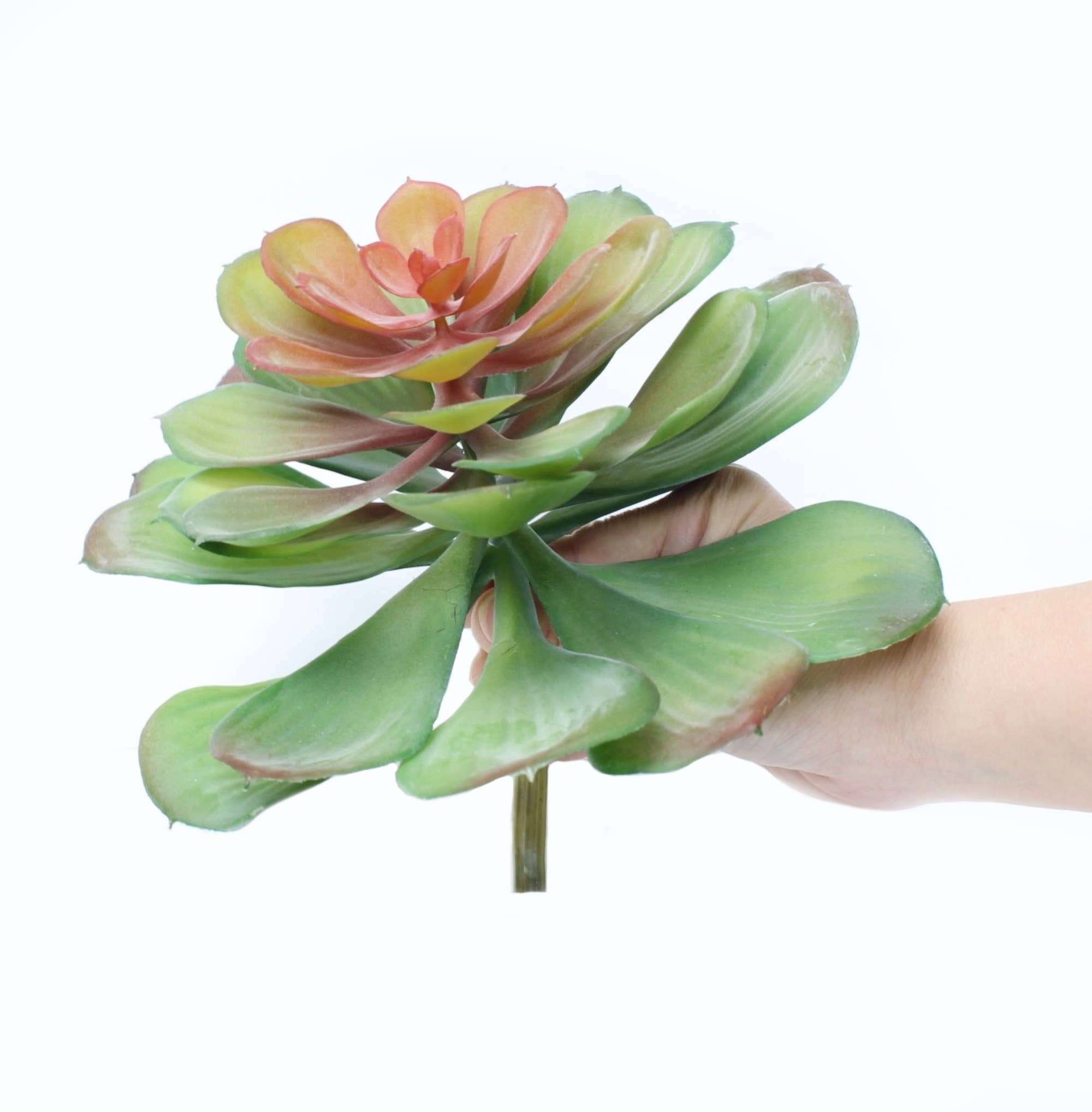 Angel Isabella - Wholesale Artificial Plant - Artificial Echeveria Succulent Stem3