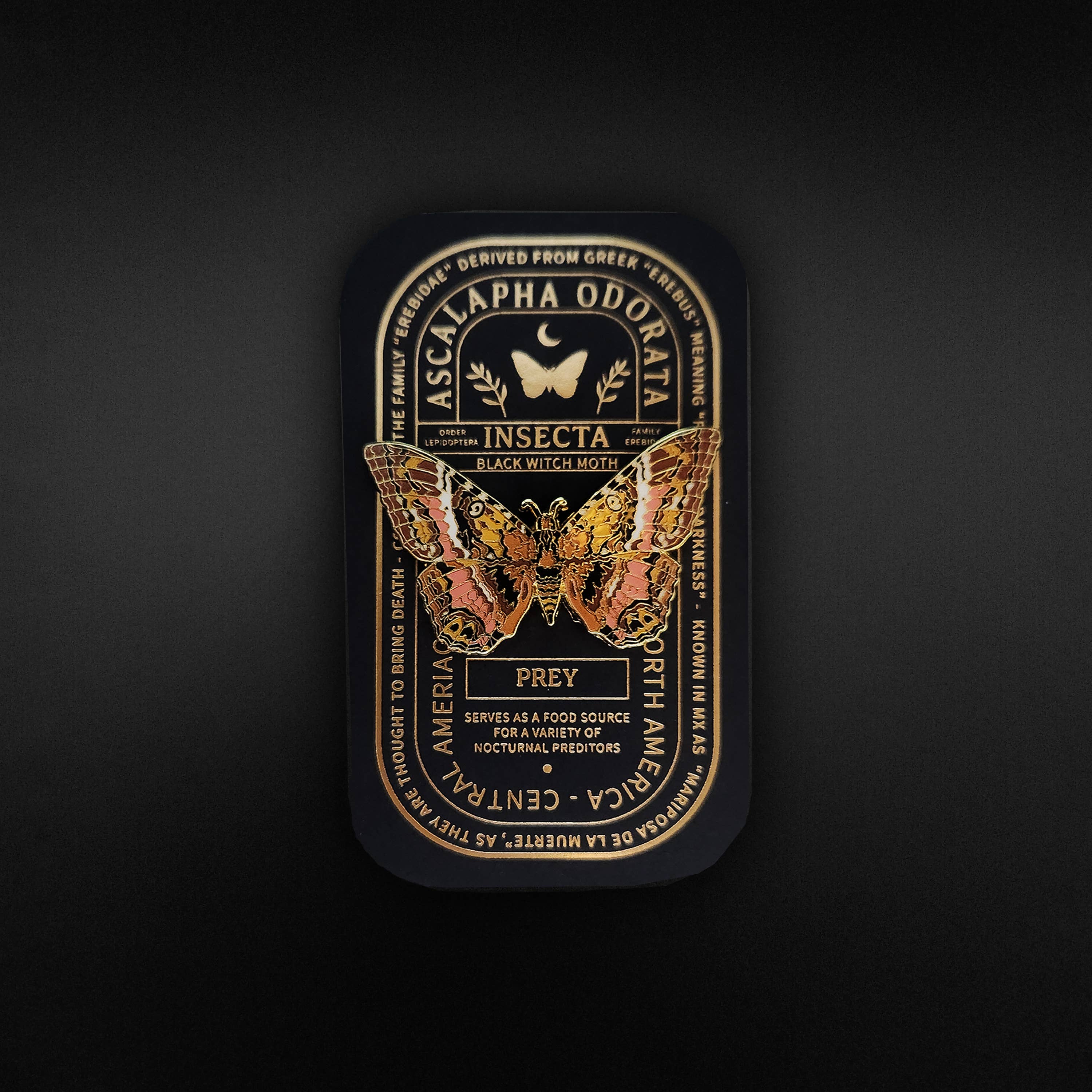 Pinsects - Wholesale Lapel Pin/Button - Black Witch Moth Educational Insect Enamel Pin1