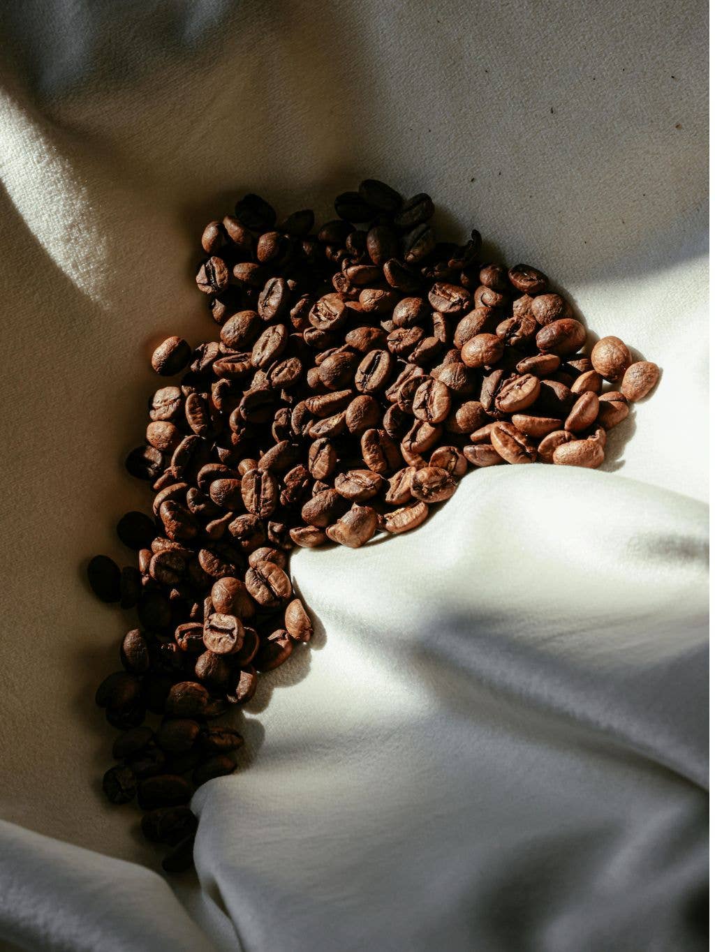 Daze - Wholesale Coffee Beans - Golden Flow1