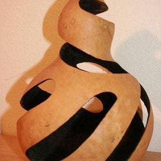 Sow True Seed - Vente Nichoir - Gourd Seeds - Birdhouse Bottle4