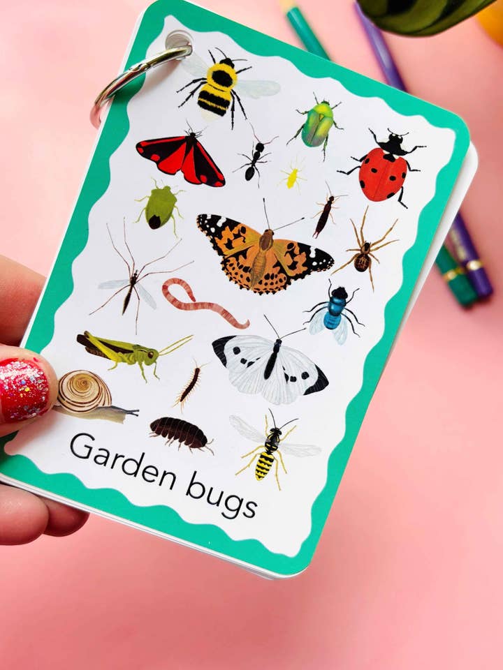 Nature flashcards - Garden Bugs Illustrated Identification Cards for wholesale by Pixiecraft