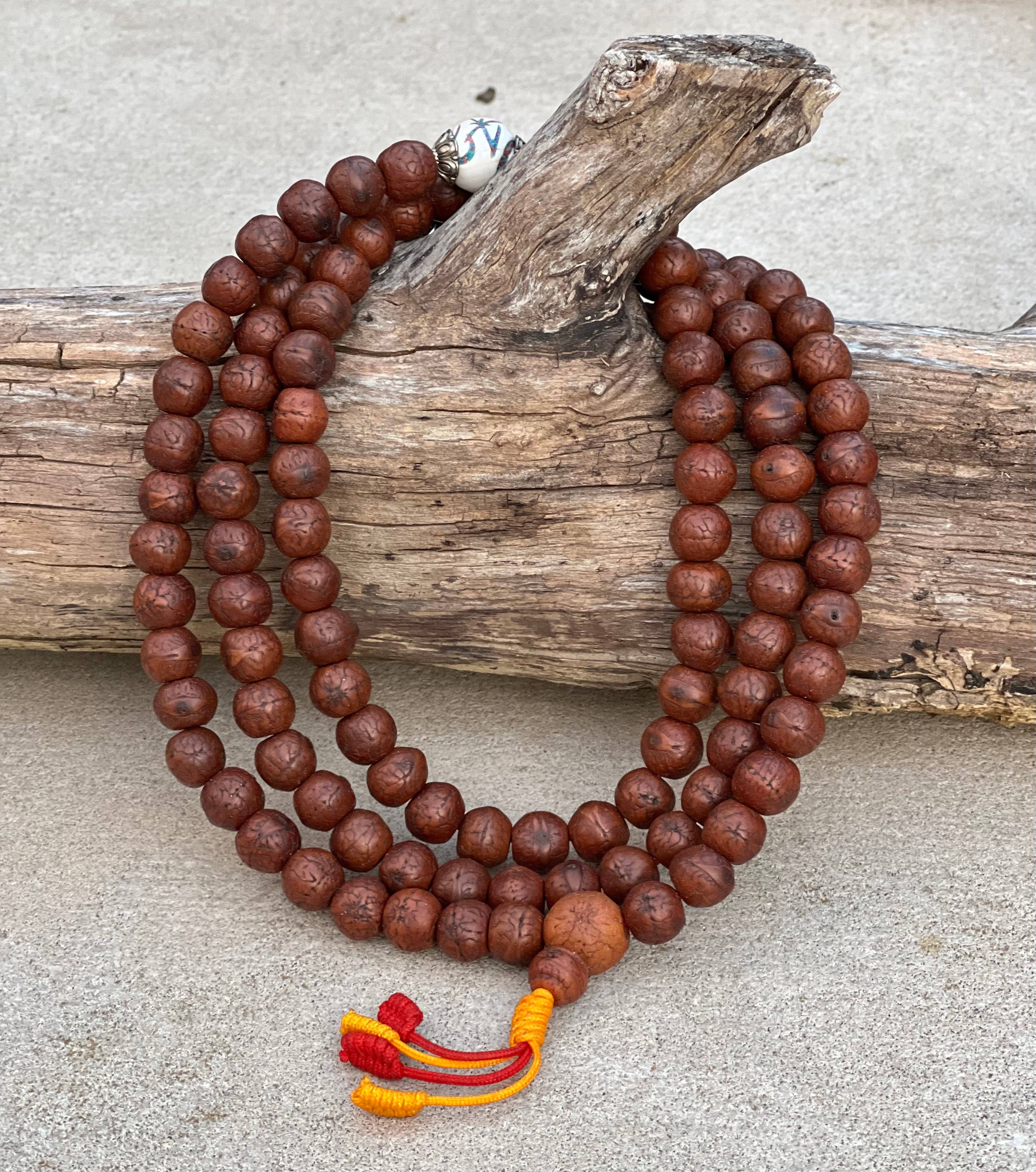 Lungta Imports - Vente Collier de prière en perles - Mala rare en graines de bodhi bouddhiste tibétain avec 3 perles d'accent en coquille de conque, boîte à mala gratuite5