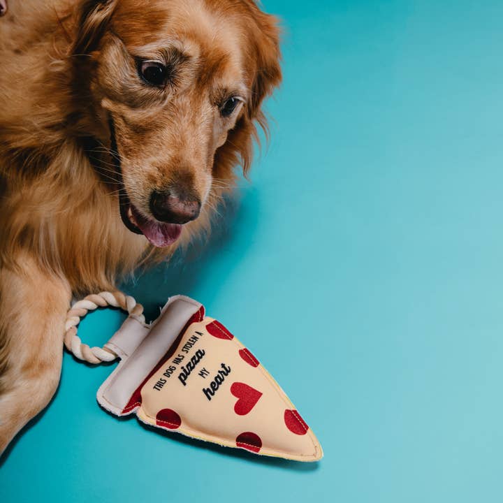Pavilion - Wholesale Pet Rope Toy - Dog - Pizza My Heart - 13" Canvas Dog Toy on Rope