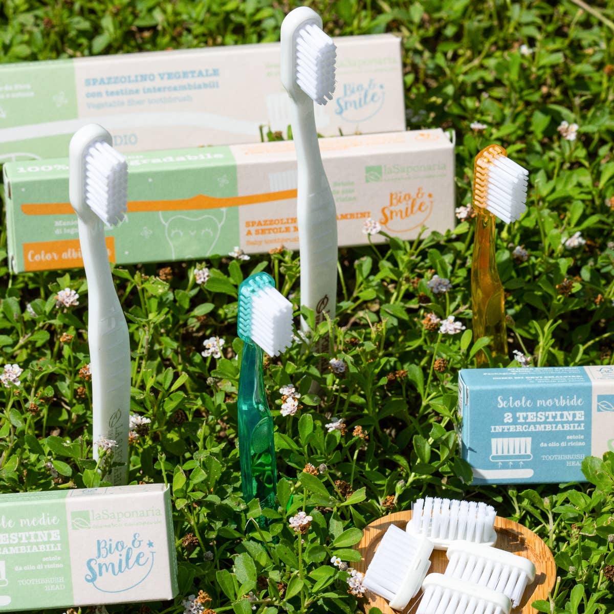 La Saponaria - Wholesale Toothbrush - Vegetable Fiber Toothbrush with Soft Bristles 1