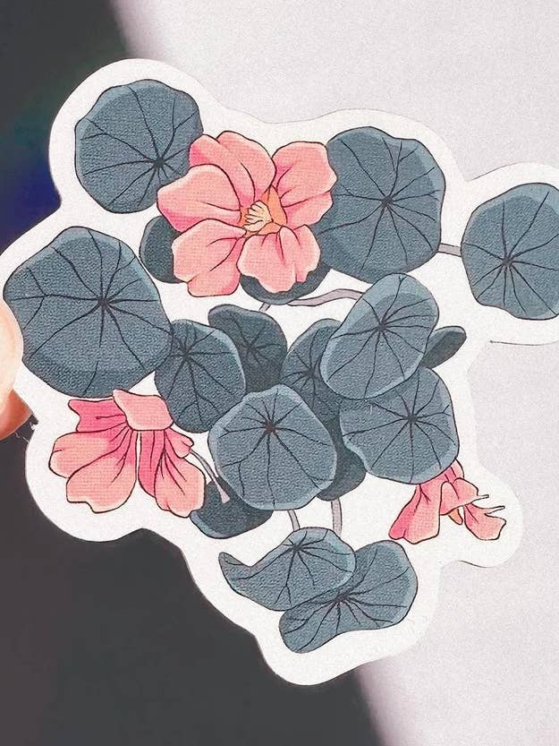 Autocollant Capucines Roses pour la vente par Wilde Reverie Co.