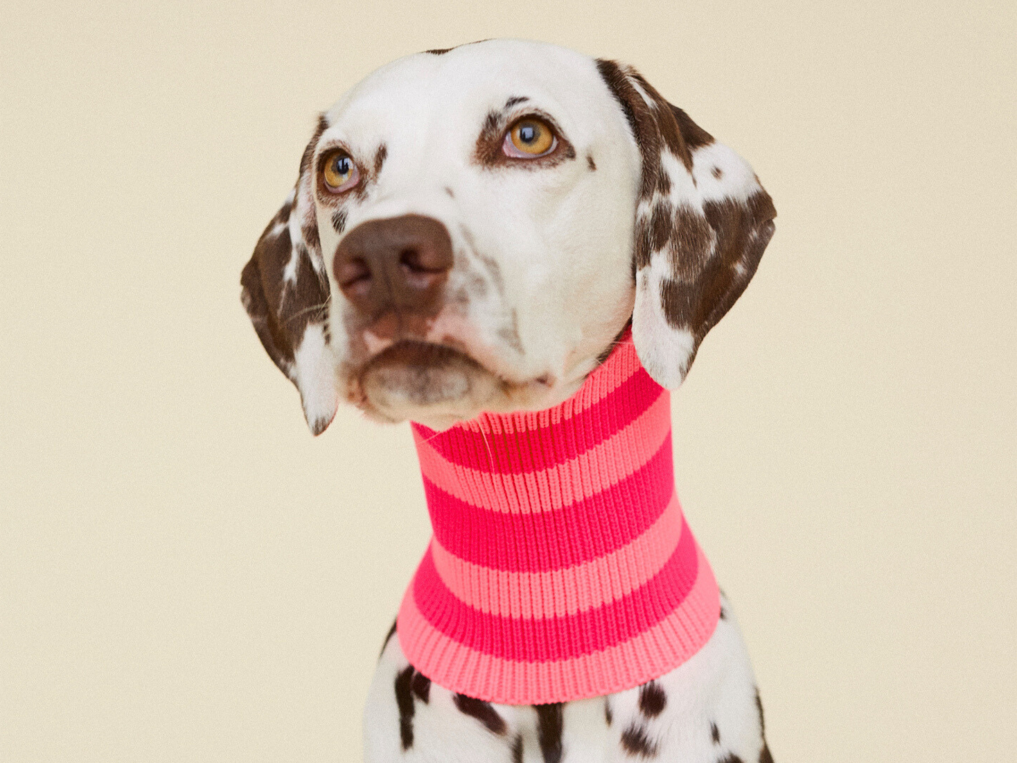 Pink Parade THE GLOW LOOP 2.0 (Pink Parade) for wholesale on Faire0