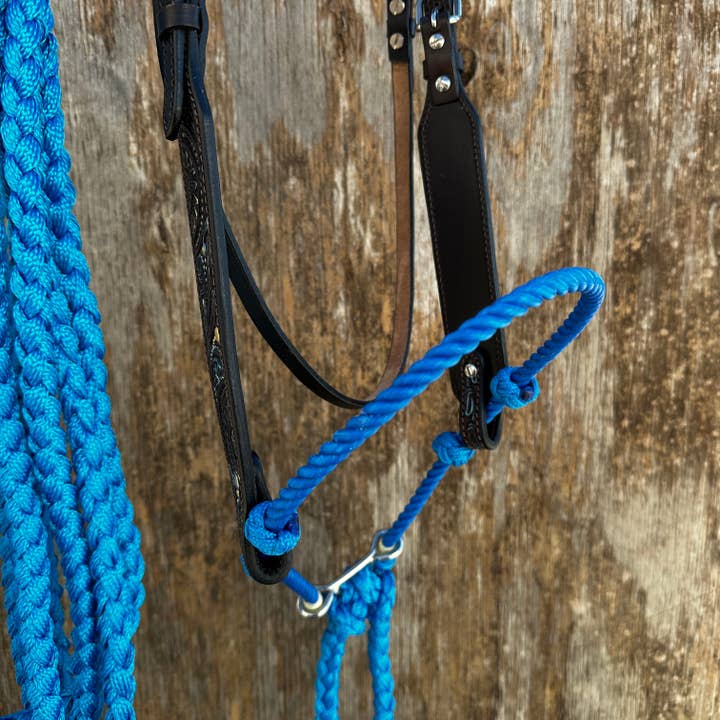 Rodeo Drive - Wholesale Horseback Riding Gear - Dark Oil Floral Hand Painted Loping Hackamore #LHK0013