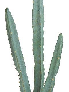 Trio Cactus X3, 13.5", Grey/Green for wholesale by Select Artificials, Inc.