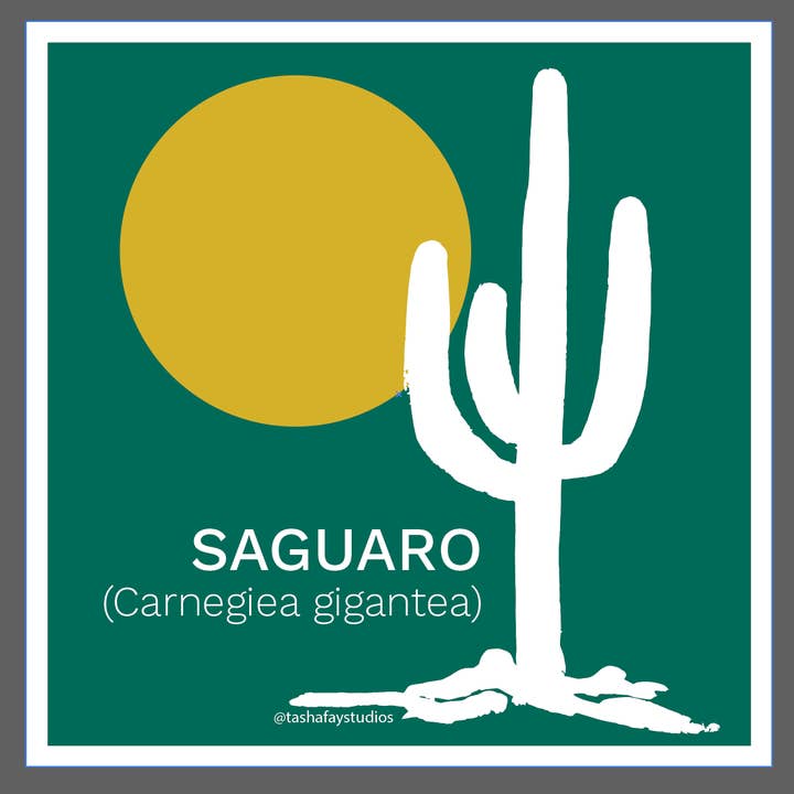 3" Saguaro Cactus Fridge Magnet for wholesale by Tasha Fay