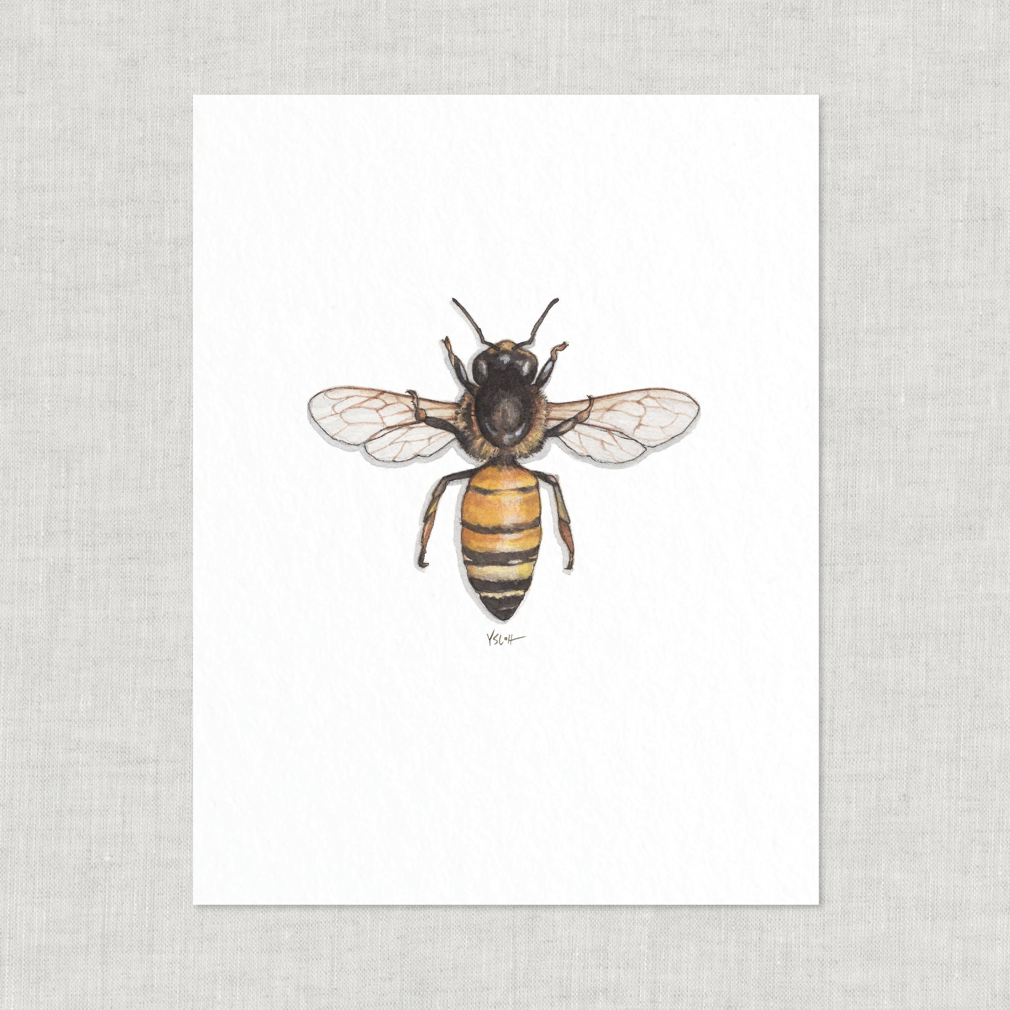Yeesan Loh - Vente Affiche d'art - Impressions/Honey Bee2